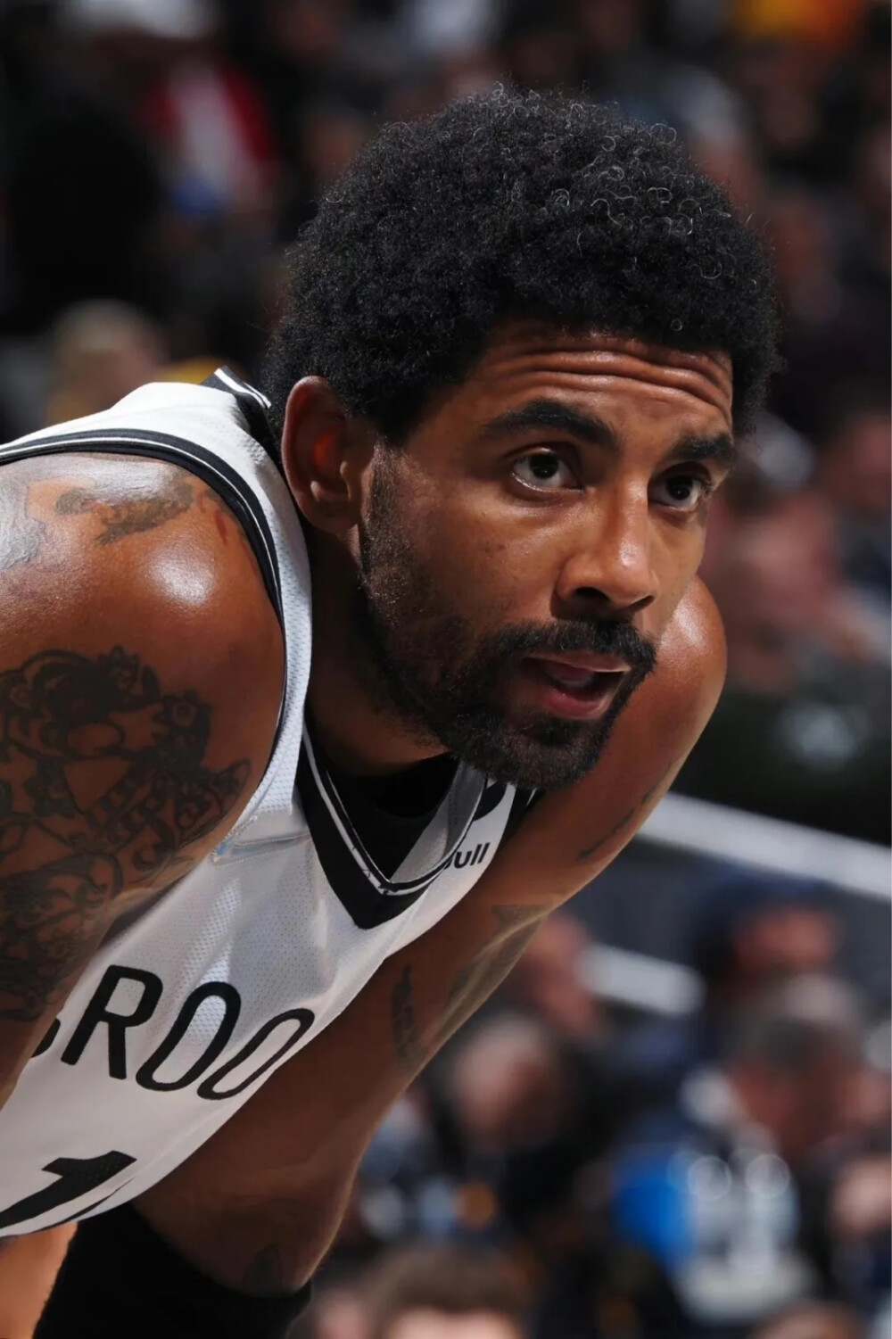 表现感到骄 表现感到骄